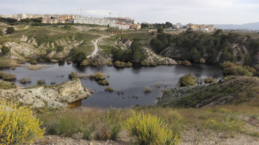 Charca de Los Tarays