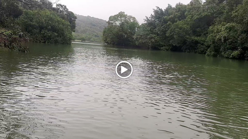 Videos