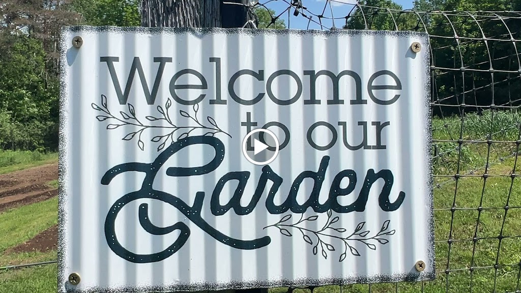  Yoga In The Adirondacks