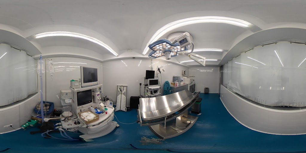 Hospital Veterinario Privet Villaviciosa — Street View y 360deg