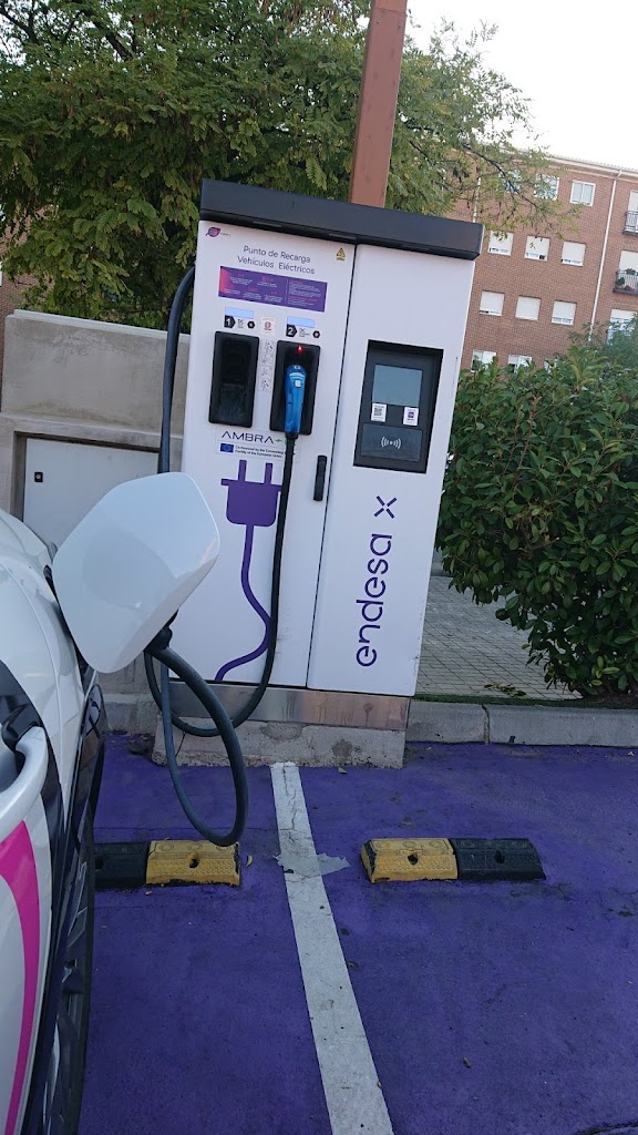 Endesa X Charging Station