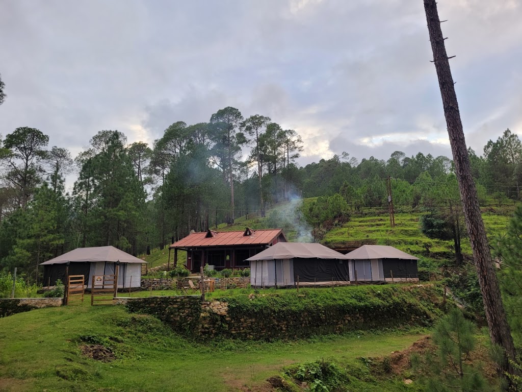 Kausani Jungle Camp A Unit Of Tgh Group