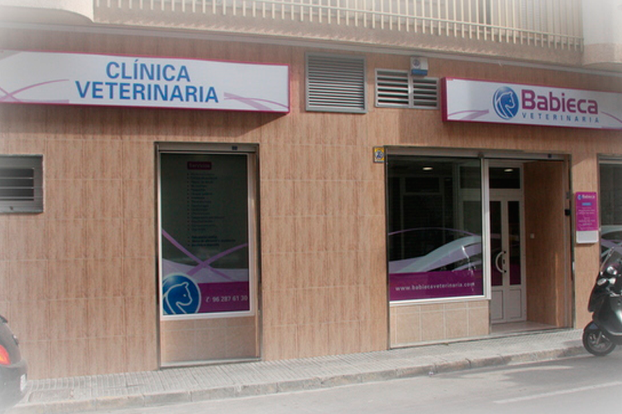 Clinica Veterinaria Babieca