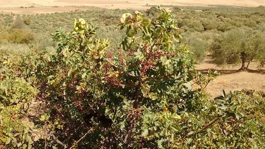 Sierra de San Miguel