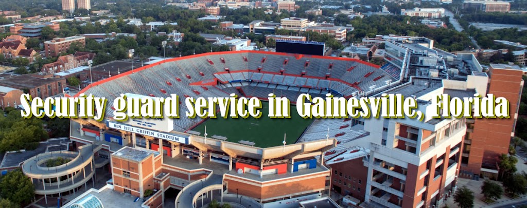 SafeLink Security llc