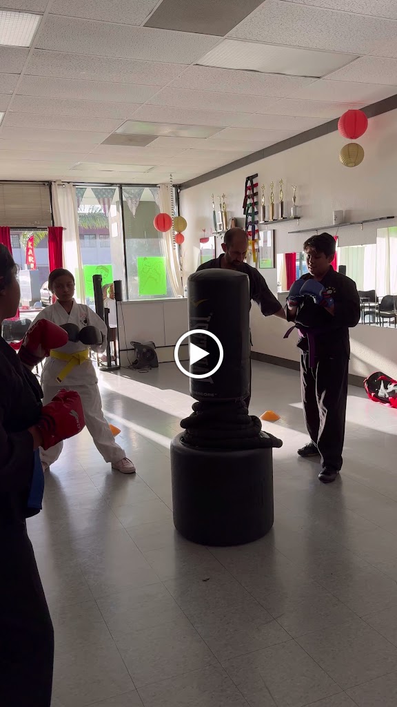  Karate Five Star Alliance Studios