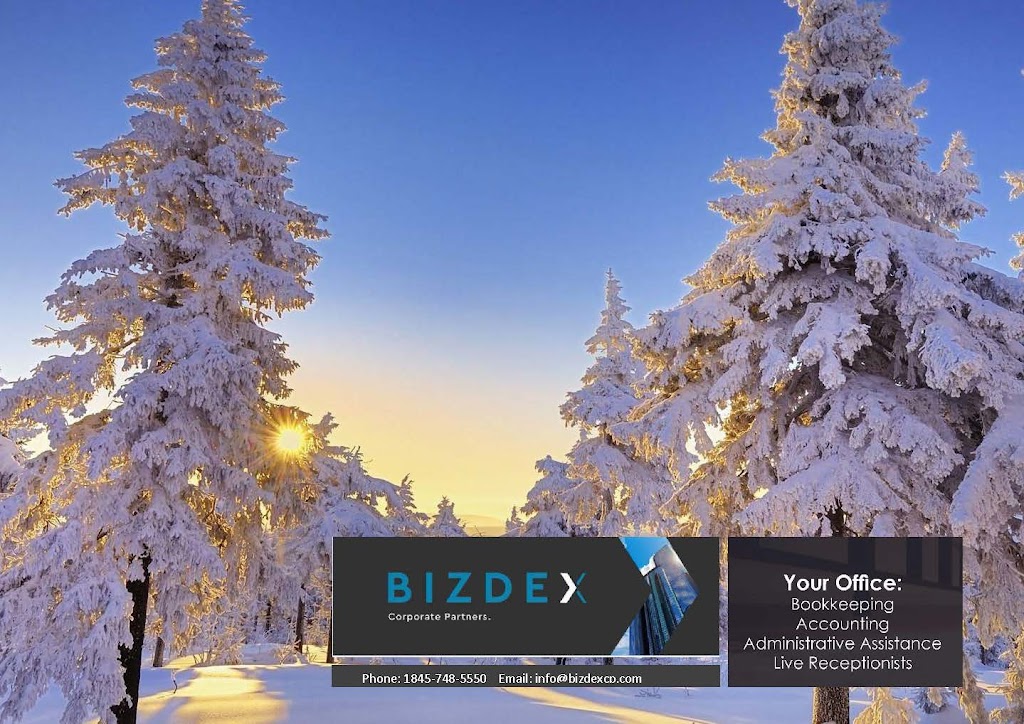 Bizdex Corporate Partners