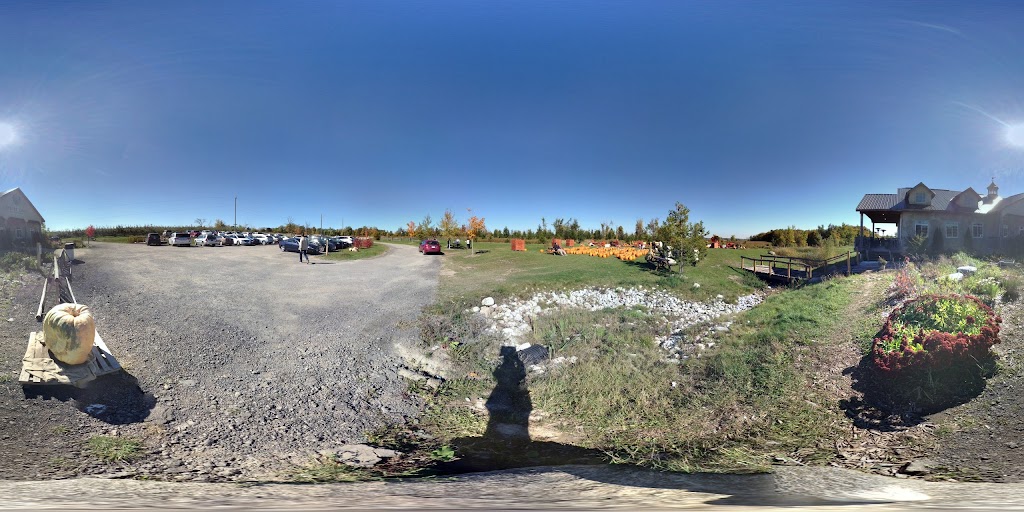 Street View & 360°