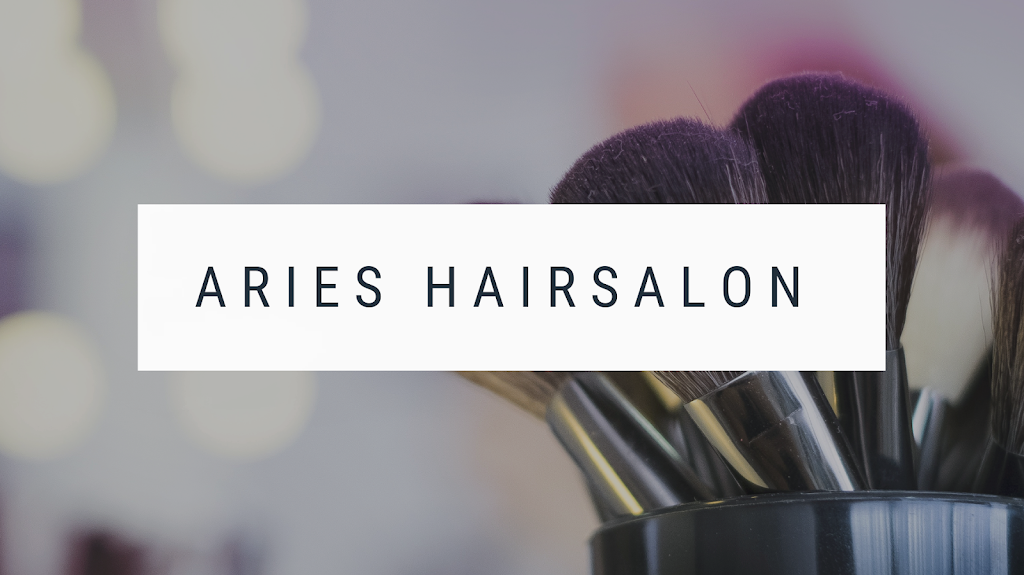 Aries Hair Salon
