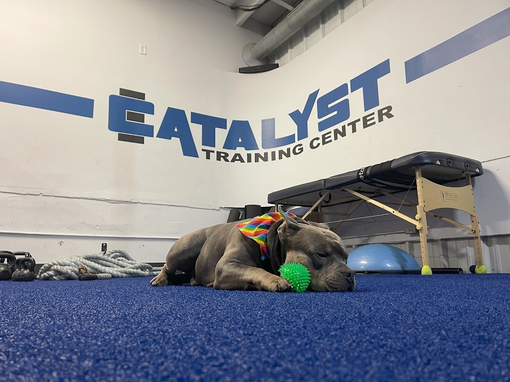  Catalyst Training Center