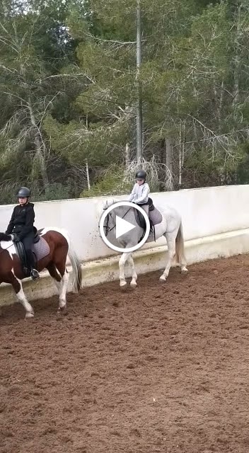 Centro Ecuestre Sierra Helada — Caballo