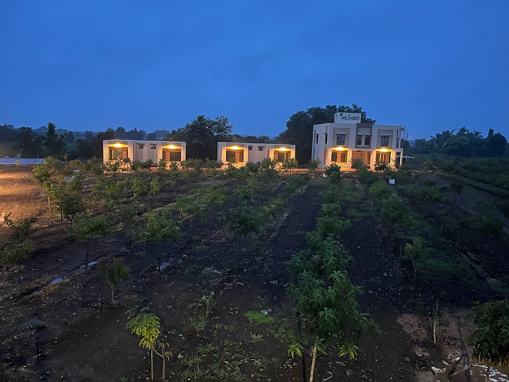 Wild Vibes At Gir