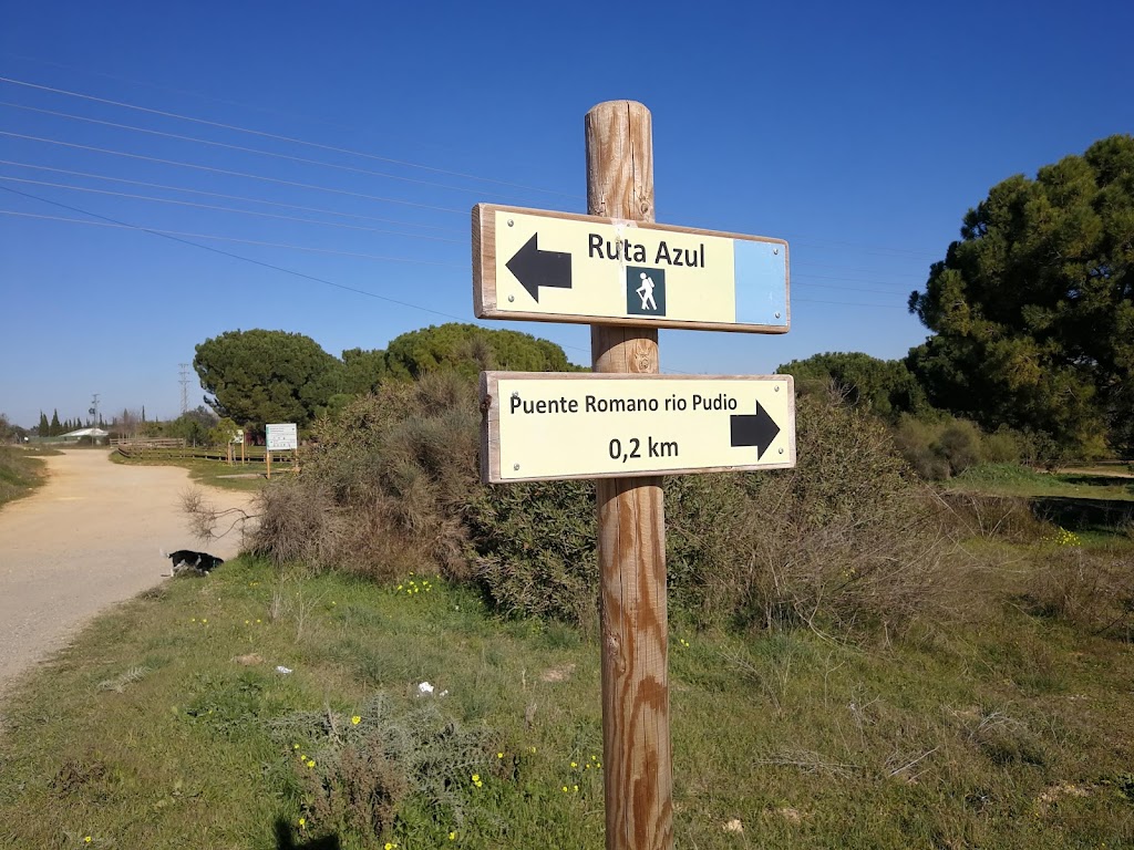 Cordel Triana-Villamanrique