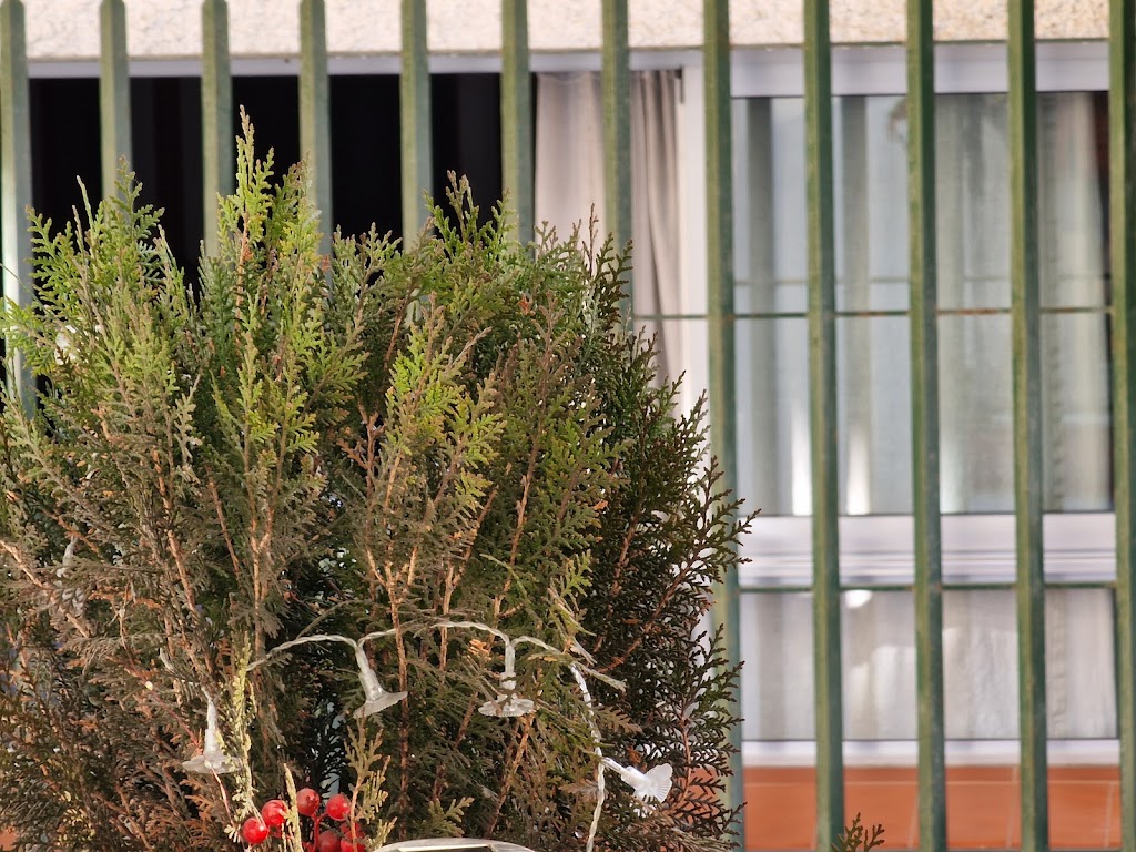 Hogar de pensionistas