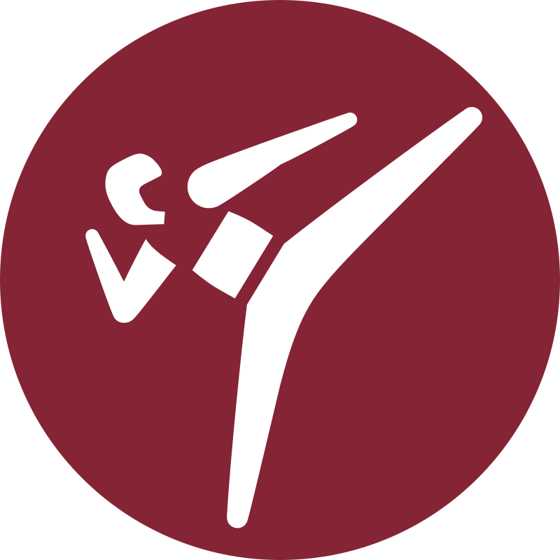  Olympic Style Taekwondo