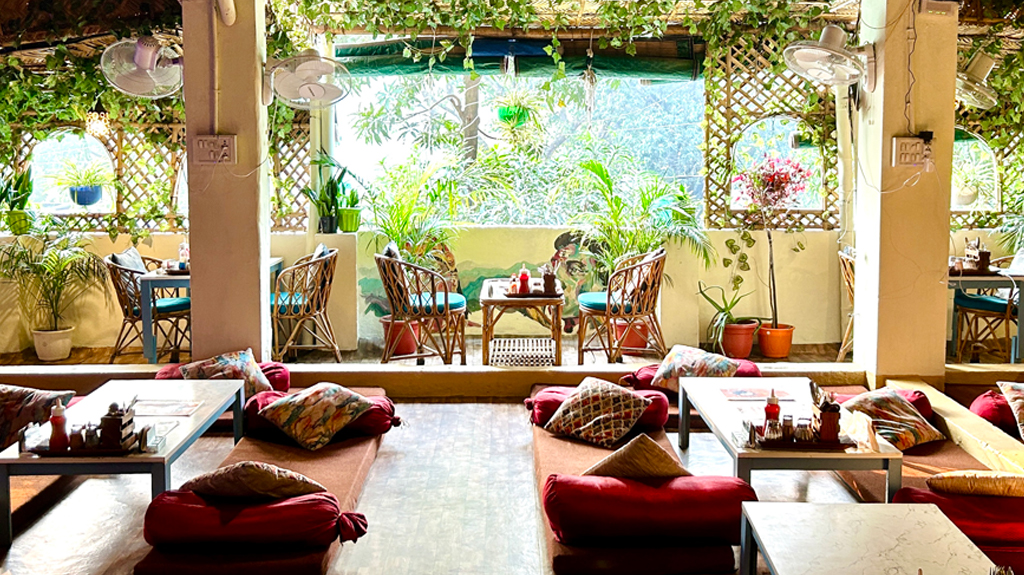 Shivani S Cafe Spiritual Healing Cafe