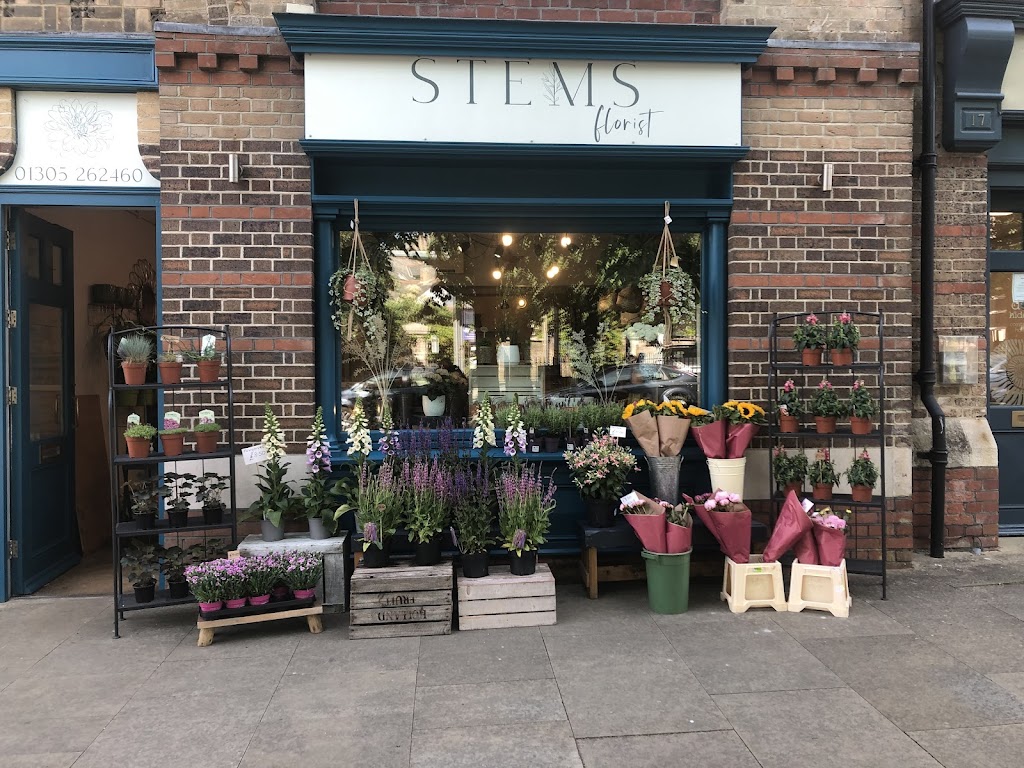 Stems Florist
