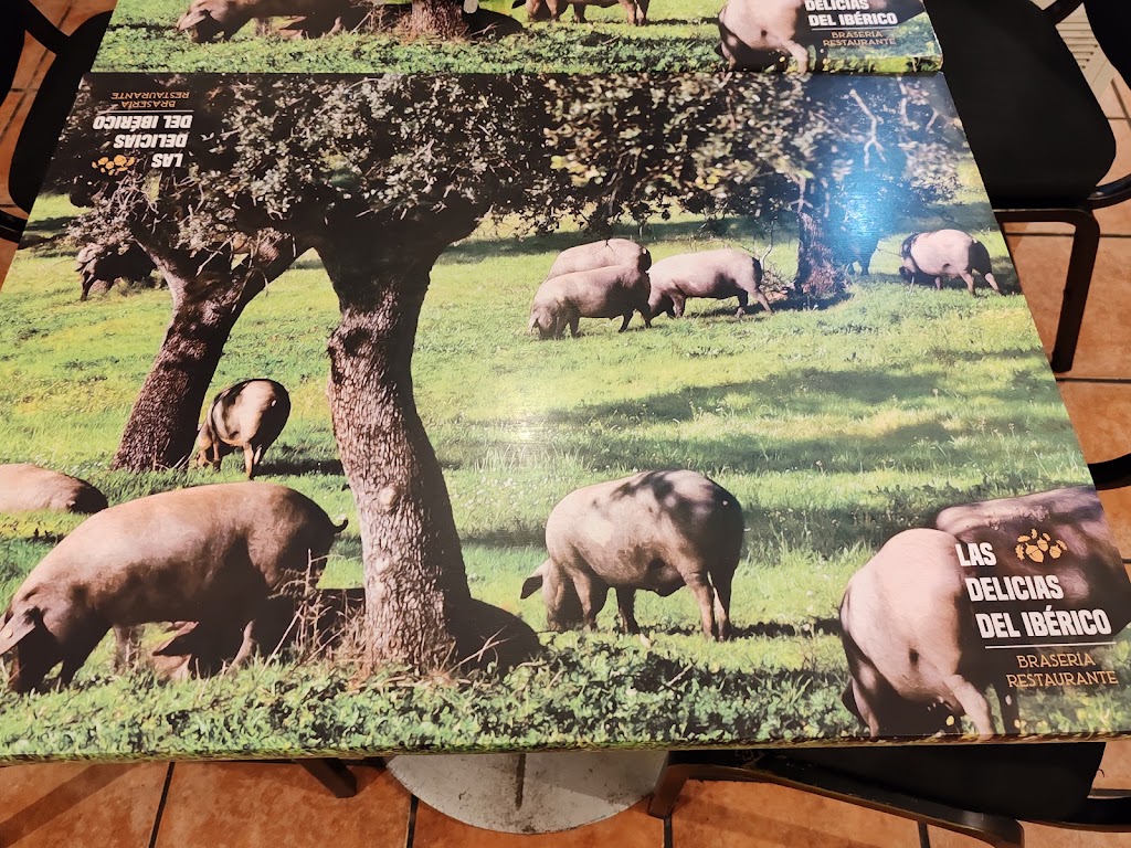 Braseria Las Delicias del Iberico — Mas recientes