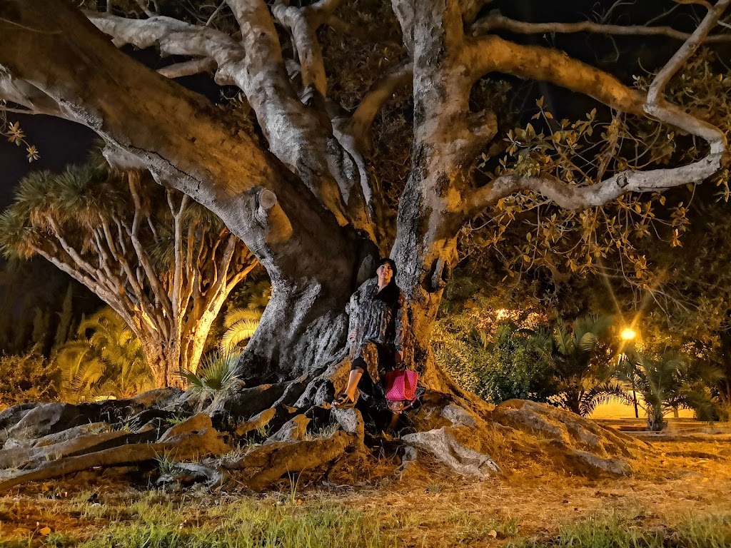 Parque Manzaneta