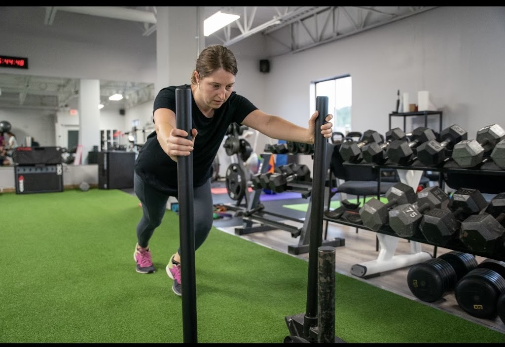  Gray's Anatomy Academy