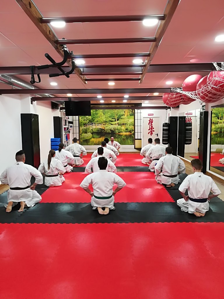 Dojo Gaman