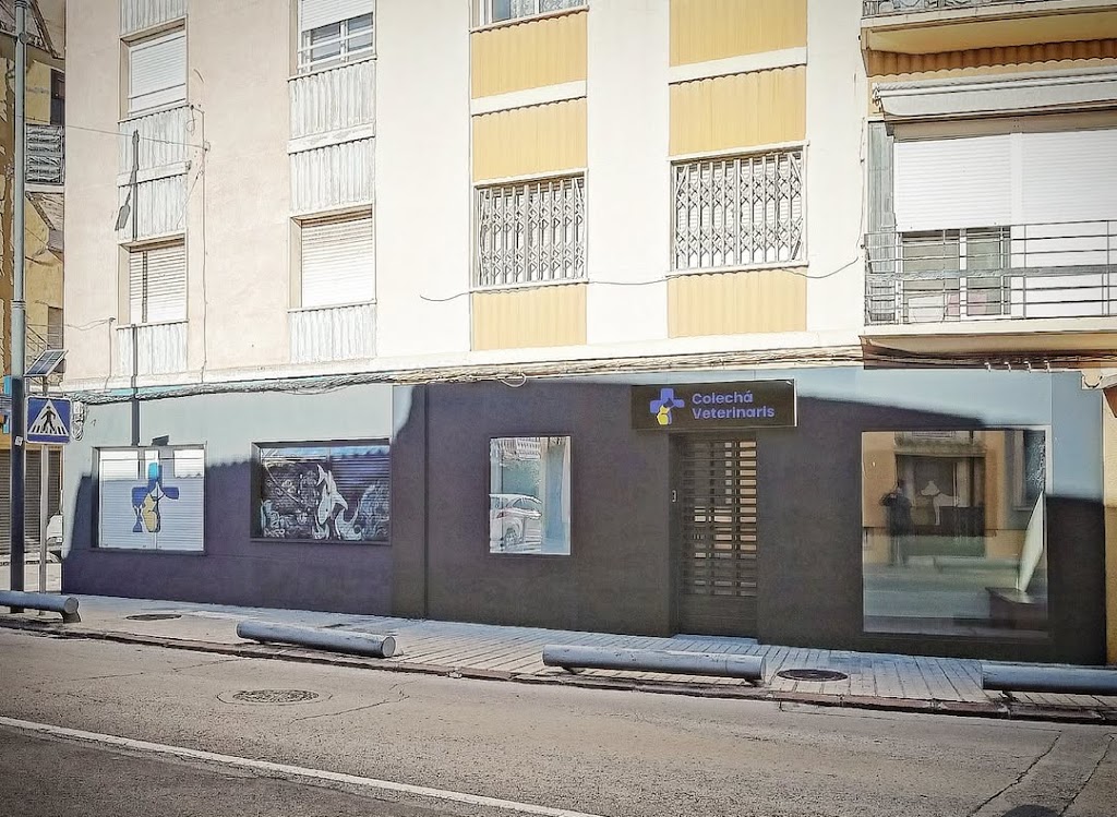 Centre Veterinari Vicent Colecha
