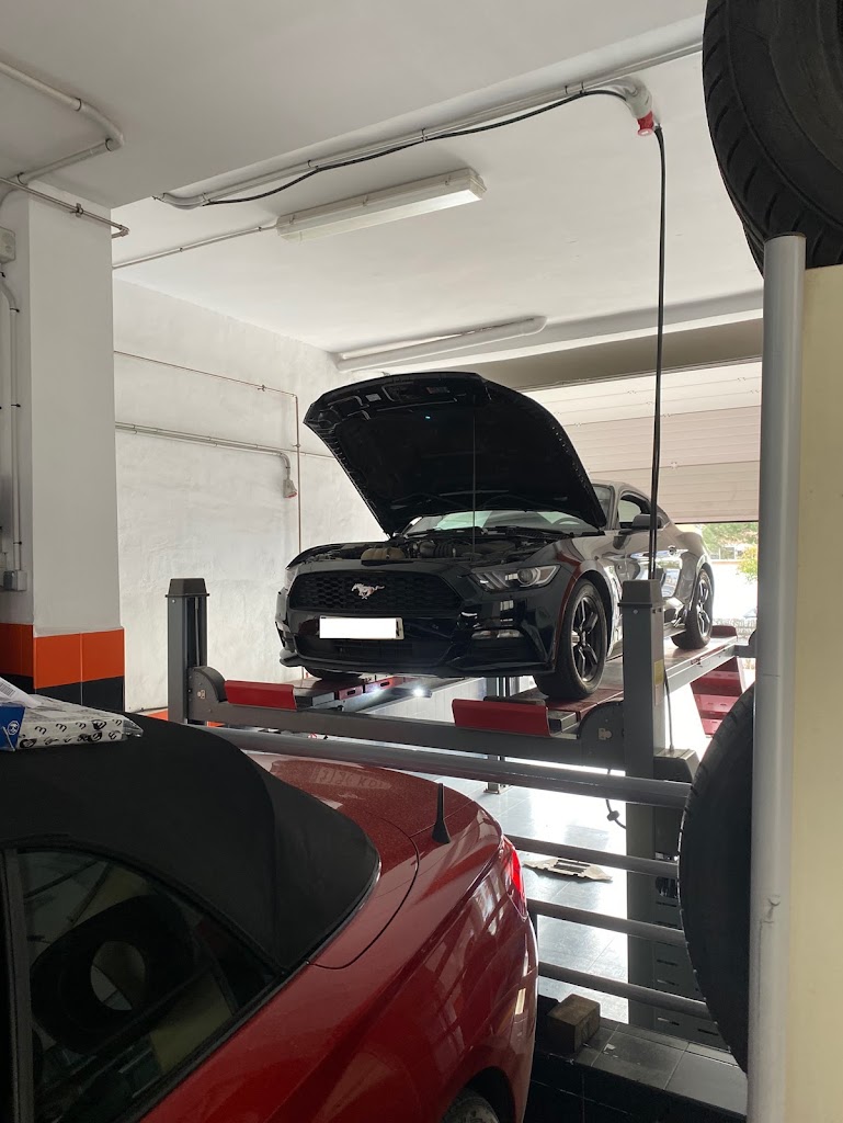 Eurorepar AUTOS FIESTA SL — Del propietario