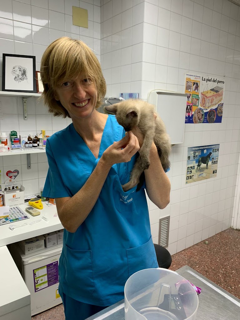 Clinica Veterinaria Enedos — Del propietario