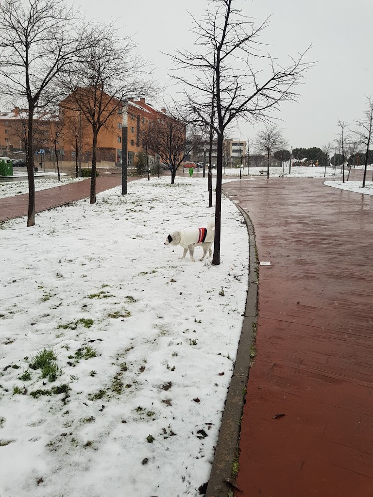 Parque Ciudad Jardin