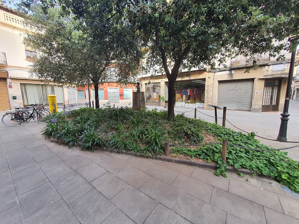 Plaza del Doctor Robert