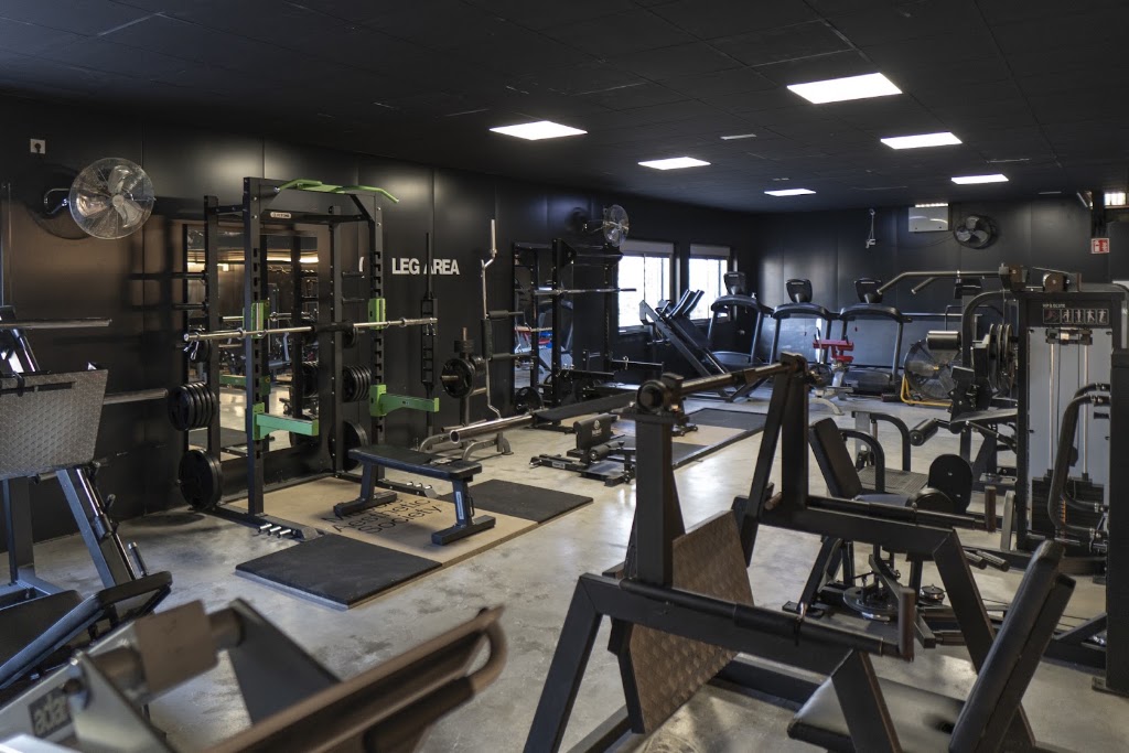 Muscle Aesthetic Society — Banco