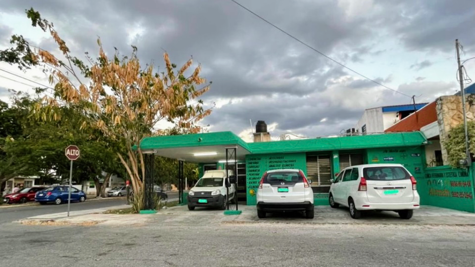 Aleman Clinica Veterinaria