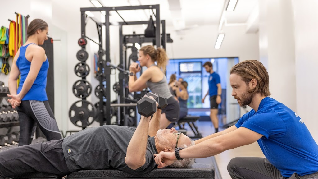  Physical Equilibrium