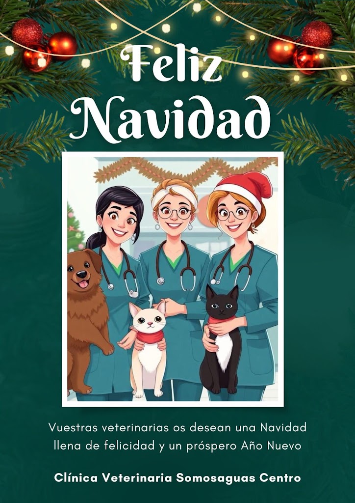 Clinica Veterinaria Somosaguas Centro — Del propietario