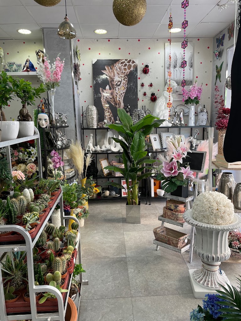 Floristerias Jurado avenida — Interior