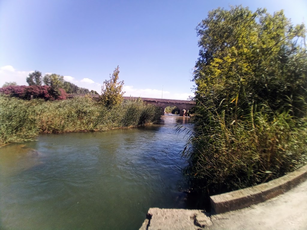 Parque Fluvial del Turia
