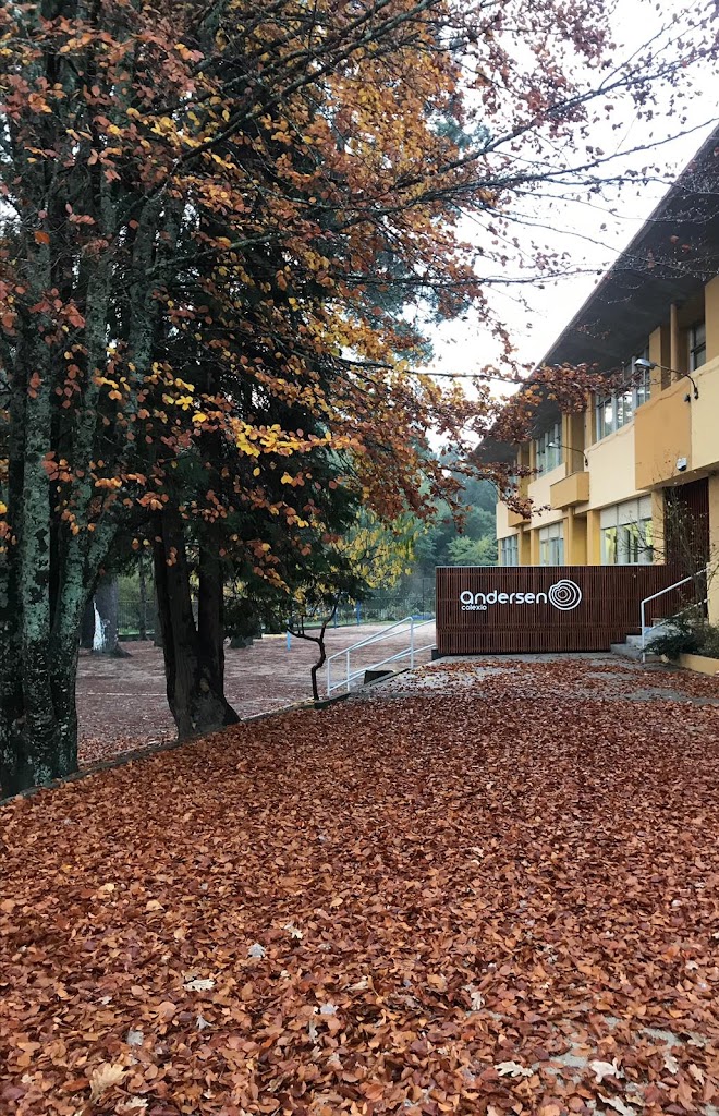 CPR Andersen Augalonga