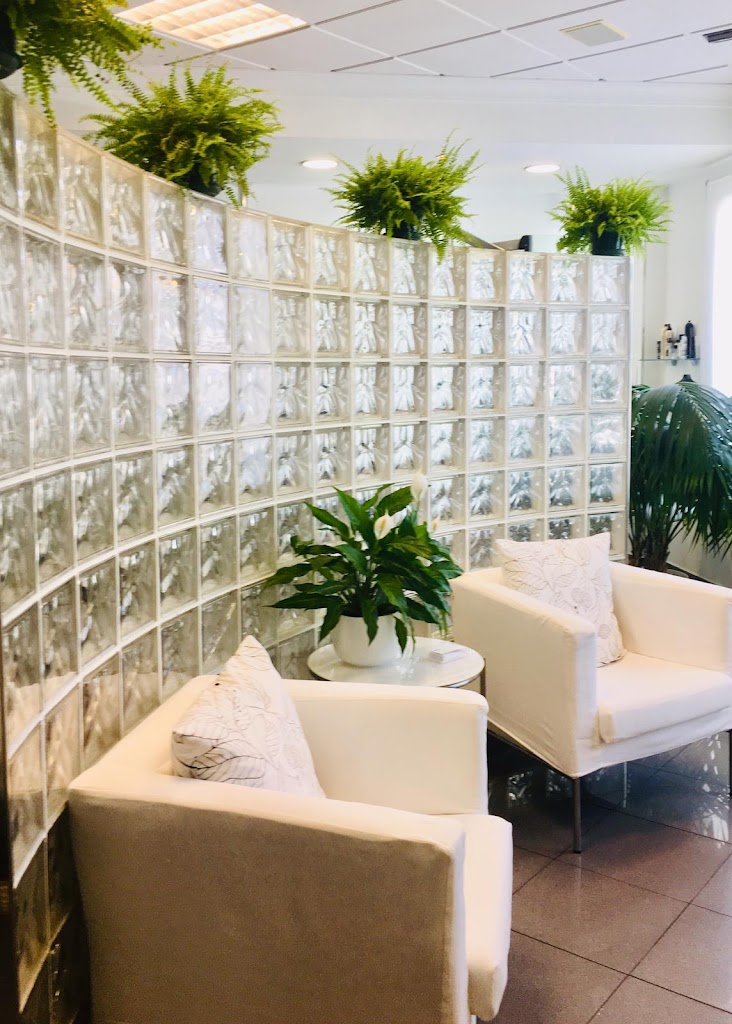 Aylys Peluqueria y Estetica