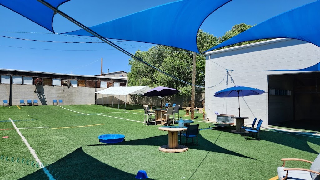 Dog park in Salt-Lake-City