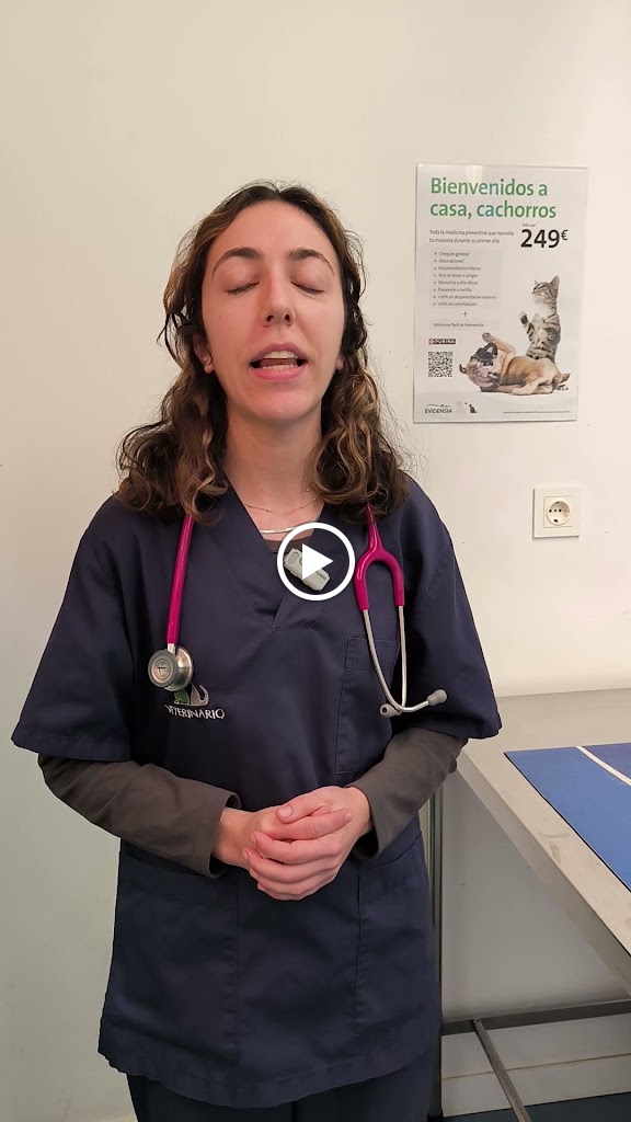 Provitas Veterinaria — Videos