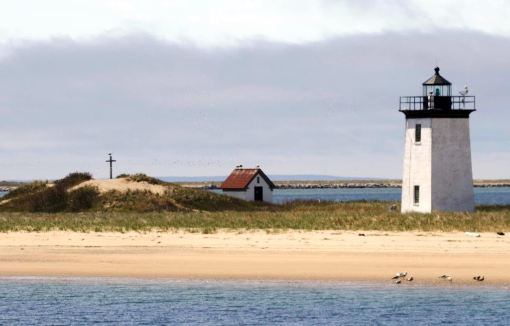Outer Cape Web