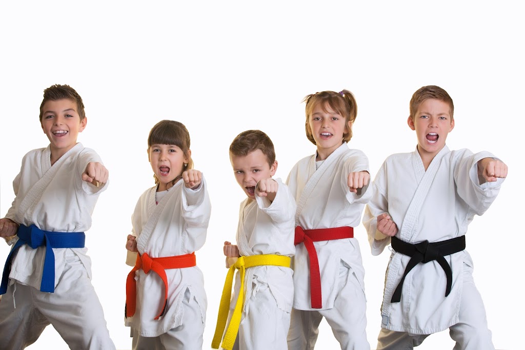  After School Karate Academy And Summer Camp