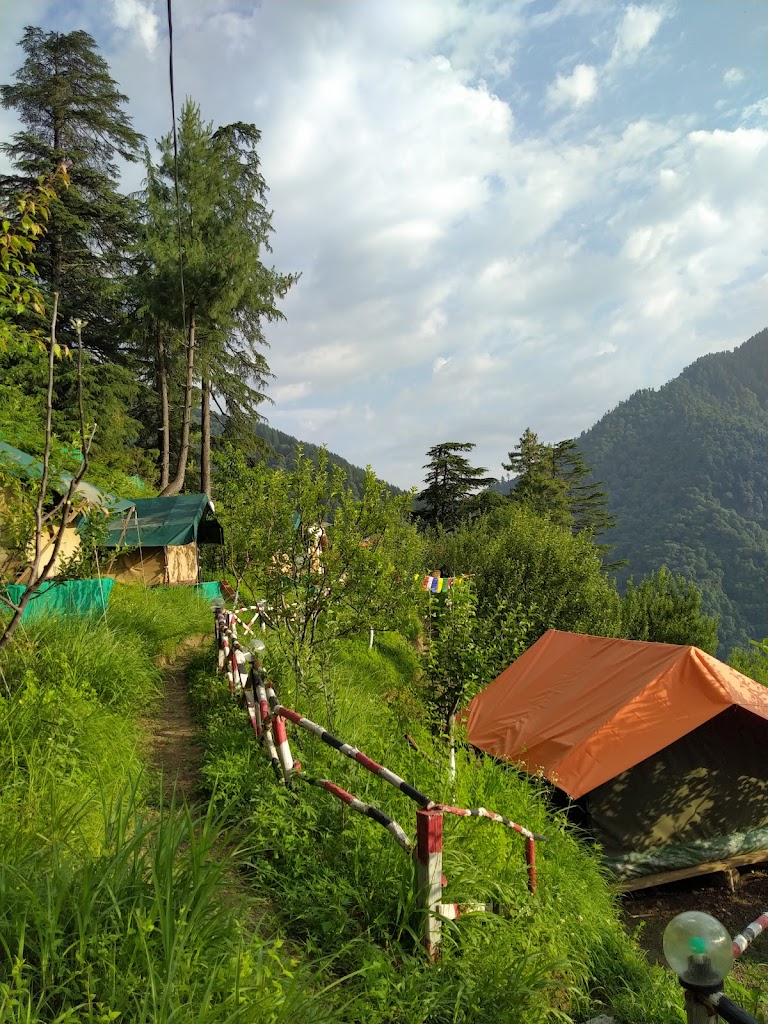 Socha Camps( camping and cottages)