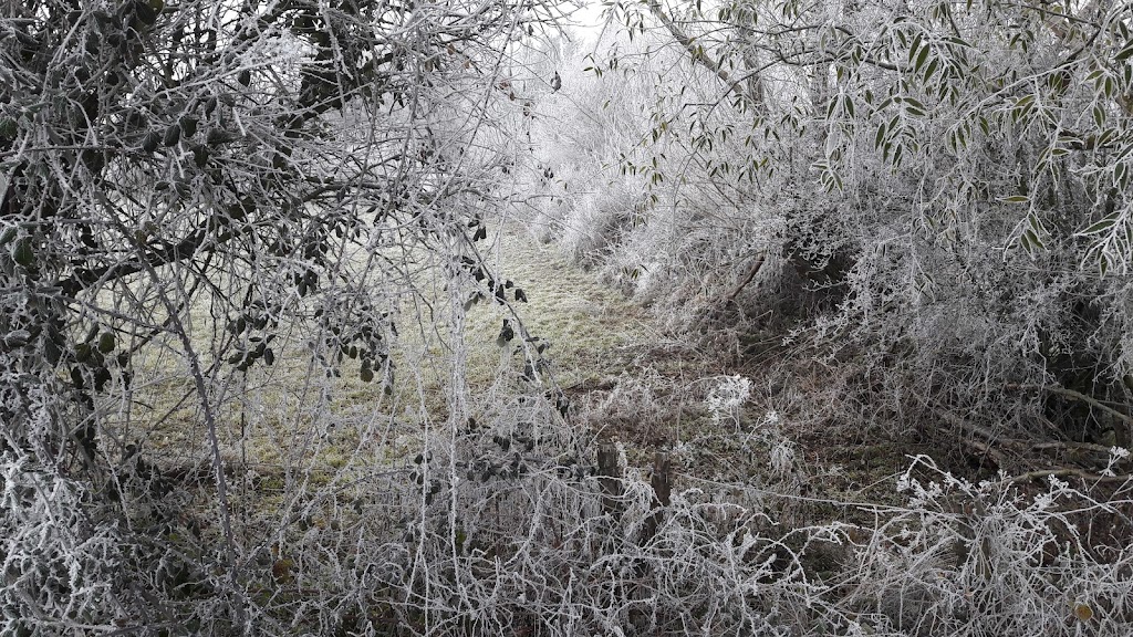 Invierno en Navatejera