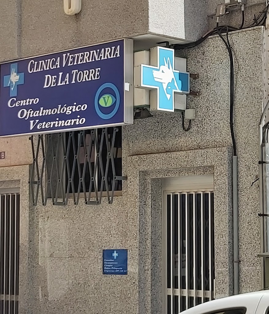 De La Torre 24 Horas Clinica Veterinaria