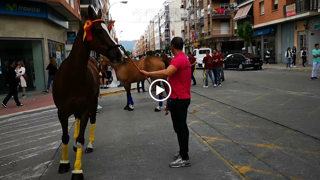 MAPFRE — Videos