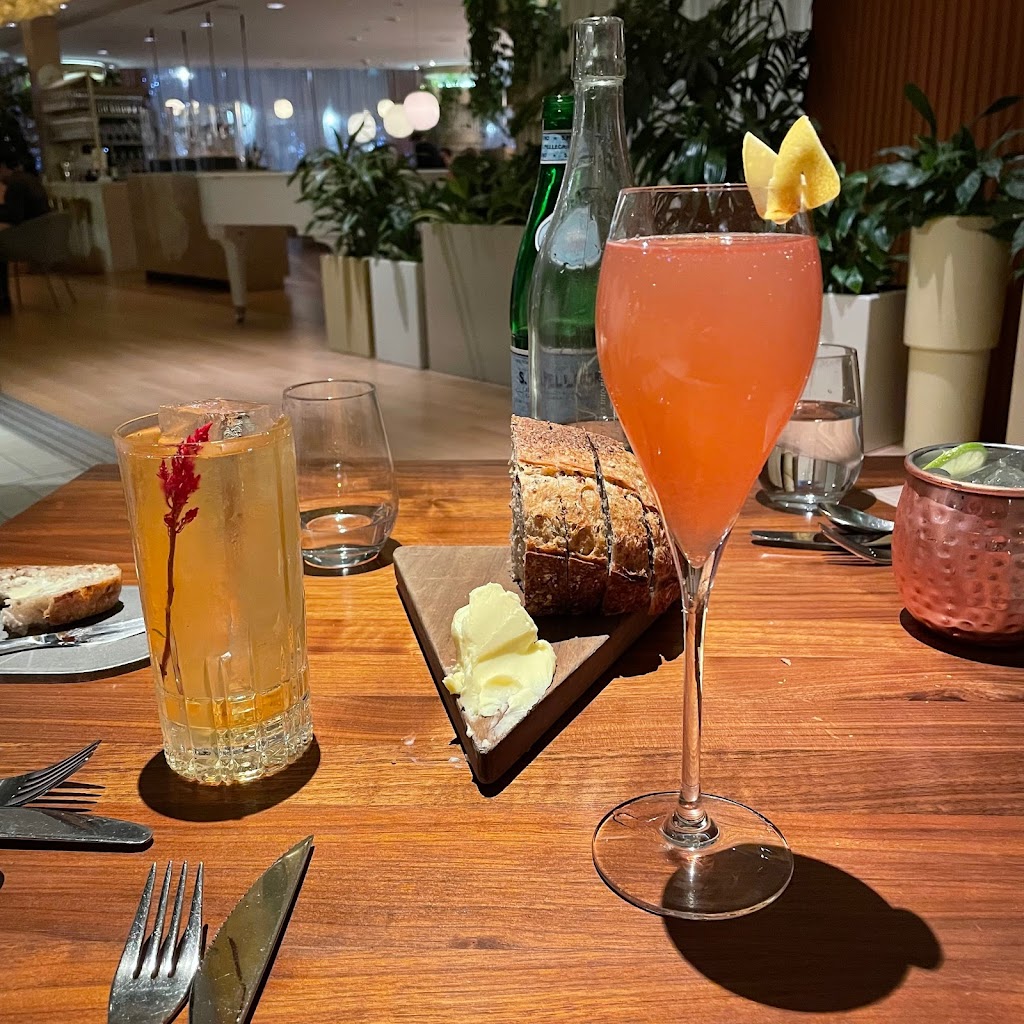 Mimosa