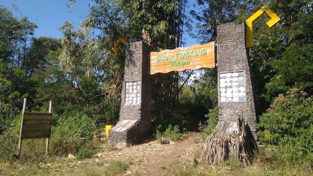 Boelanboong Eco Campground