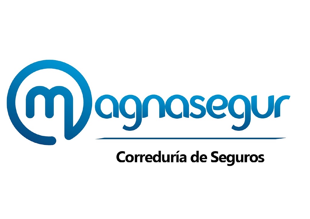 MAGNASEGUR CORREDURIA DE SEGUROS SL — Del propietario