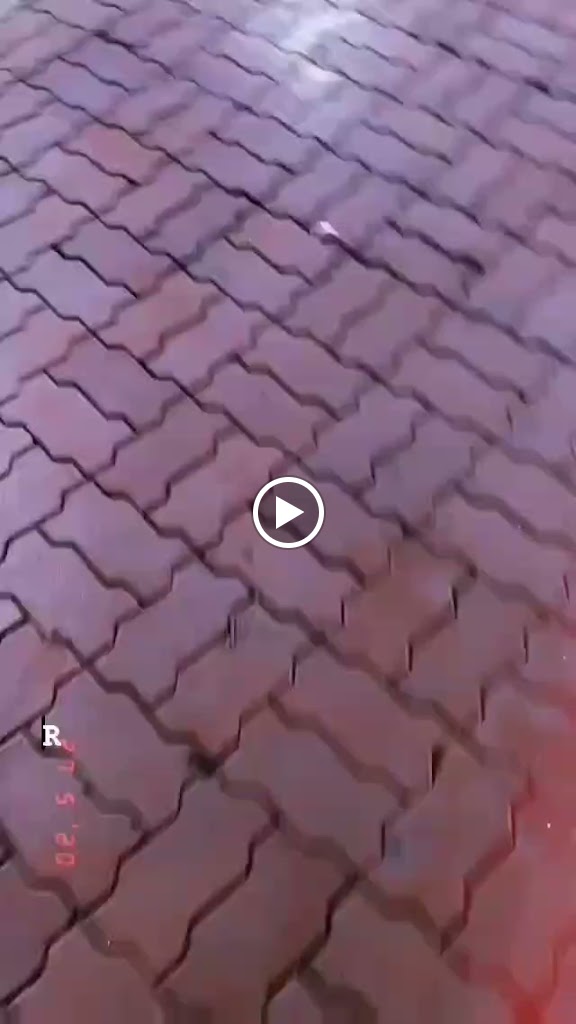 Videos